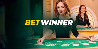 Experience the Excitement of Casino BetWinner Experience the Excitement of Casino BetWinner