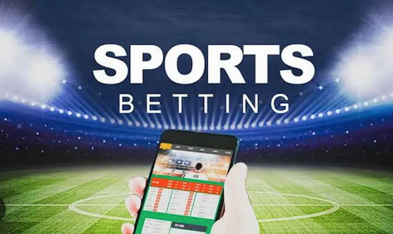 Discover the Excitement of Rara Bet 1