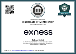 Exploring the Exness Trading Platform A Comprehensive Guide