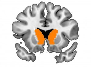 How Random Quantity Mills Rng Guarantee Slot Equity How Random Quantity Mills Rng Guarantee Slot Equity